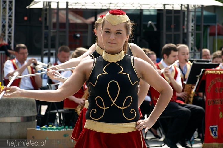 Powiatowy Festyn Rodzinny z okazji Dnia Dziecka i Dnia Matki