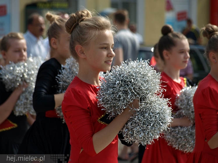 Powiatowy Festyn Rodzinny z okazji Dnia Dziecka i Dnia Matki