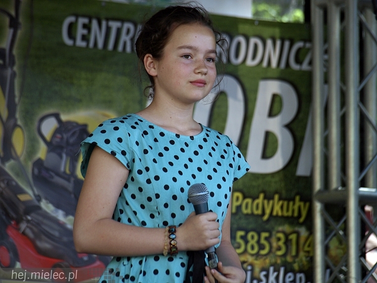 Powiatowy Festyn Rodzinny z okazji Dnia Dziecka i Dnia Matki