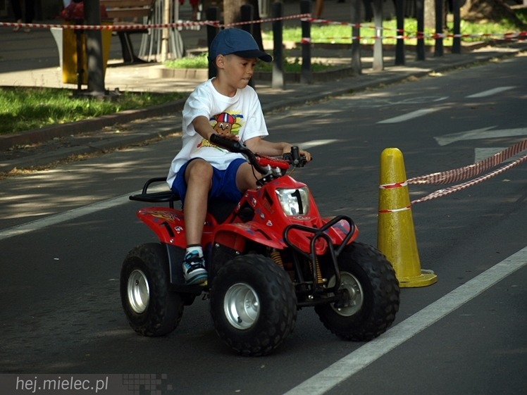 Powiatowy Festyn Rodzinny z okazji Dnia Dziecka i Dnia Matki