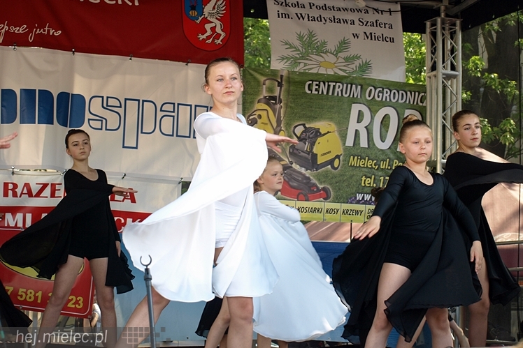 Powiatowy Festyn Rodzinny z okazji Dnia Dziecka i Dnia Matki