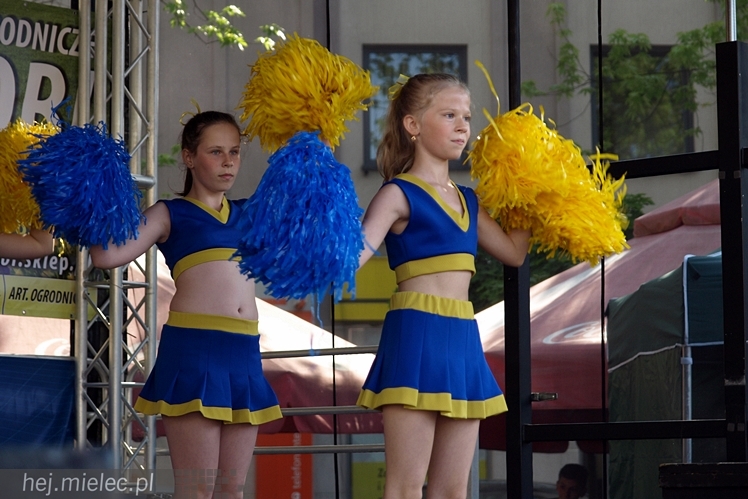 Powiatowy Festyn Rodzinny z okazji Dnia Dziecka i Dnia Matki