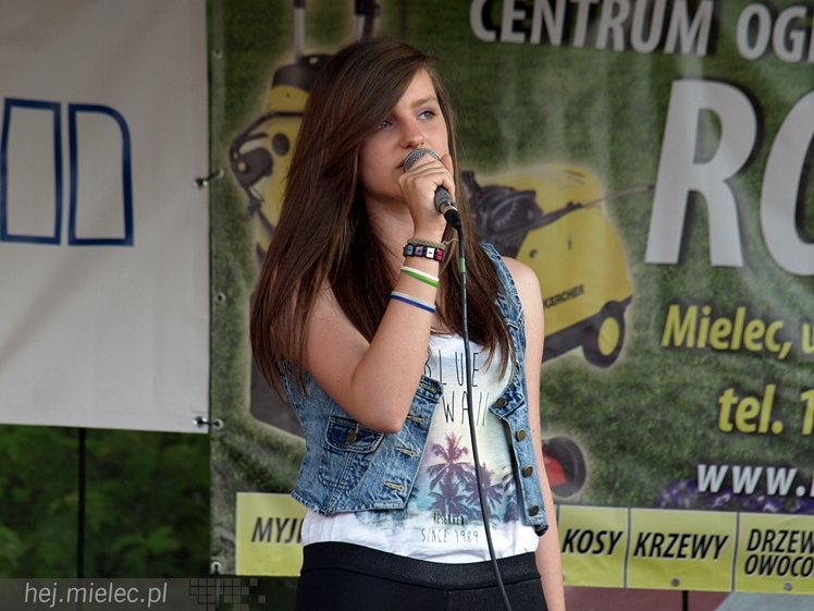 Powiatowy Festyn Rodzinny z okazji Dnia Dziecka i Dnia Matki