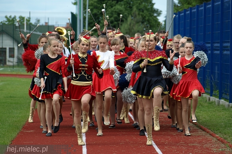 Piknik rodzinny z okazji Dnia Dziecka w Przecławiu
