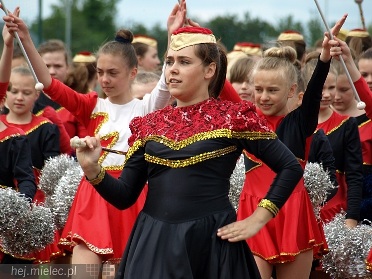 Piknik rodzinny z okazji Dnia Dziecka w Przecławiu