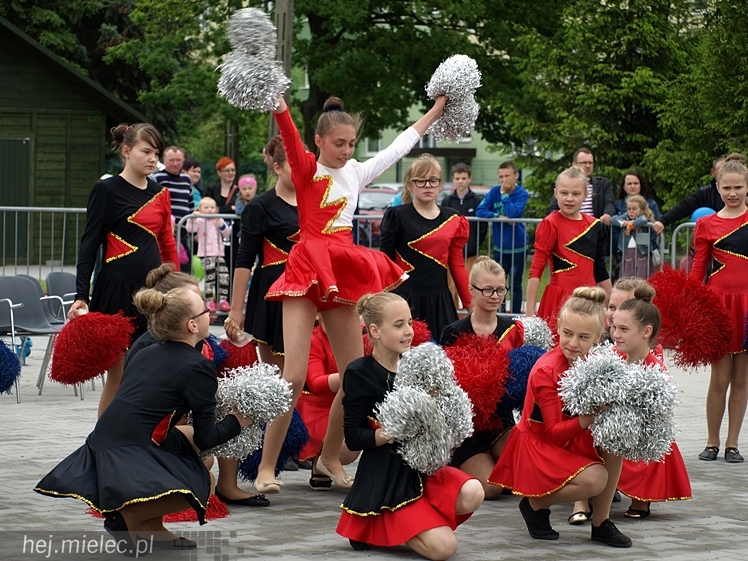 Piknik rodzinny z okazji Dnia Dziecka w Przecławiu