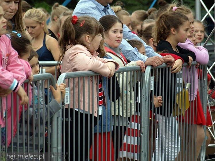 Piknik rodzinny z okazji Dnia Dziecka w Przecławiu