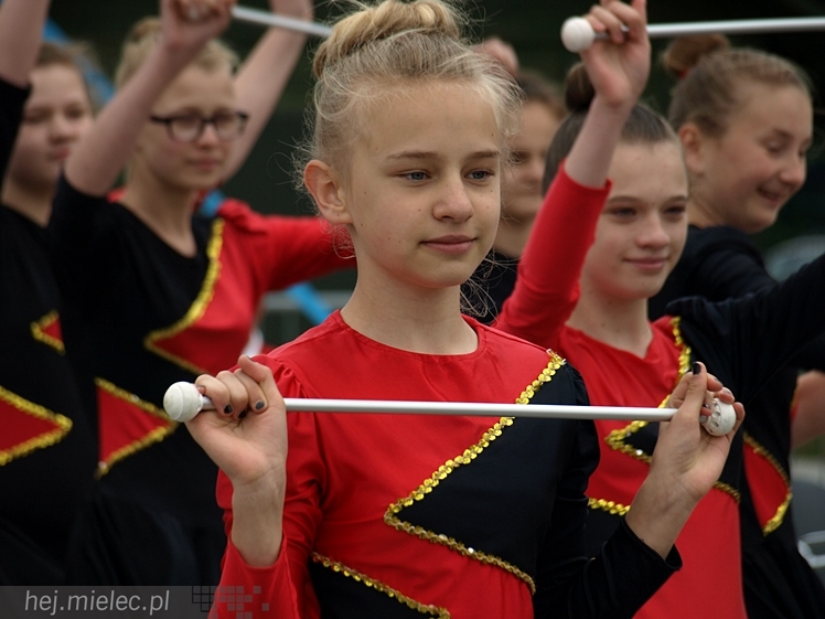 Piknik rodzinny z okazji Dnia Dziecka w Przecławiu