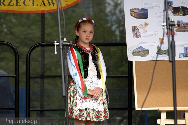 Piknik rodzinny z okazji Dnia Dziecka w Przecławiu