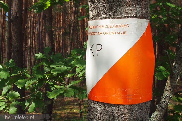 Znów tłumy na Mieleckiej Imprezie Turystycznej. Biegali i jeździli po lesie. Zabawa była świetna