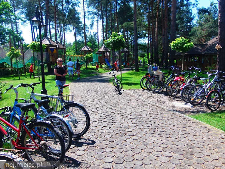 Kolorado zaprosiło do siebie dzieci: aktywna, radosna niedziela