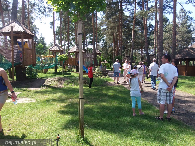 Kolorado zaprosiło do siebie dzieci: aktywna, radosna niedziela