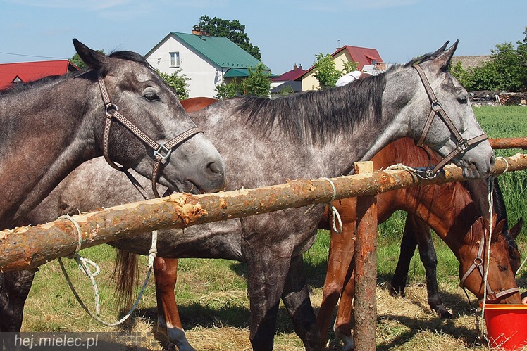 Ułani powrócili do Dobrynina. Świętowała cała wieś