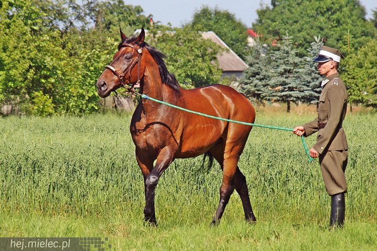 Ułani powrócili do Dobrynina. Świętowała cała wieś