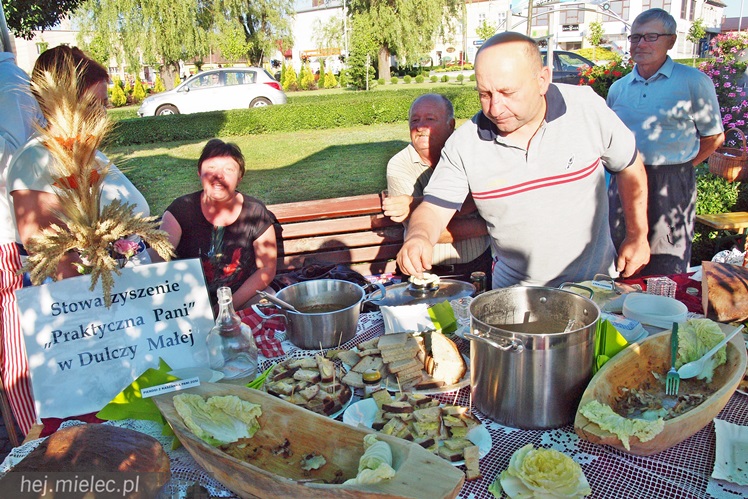 W Radomyślu Wielkim odbył się Piknik Zbożowy, była degustacja lokalnych wyrobów [FOTO]
