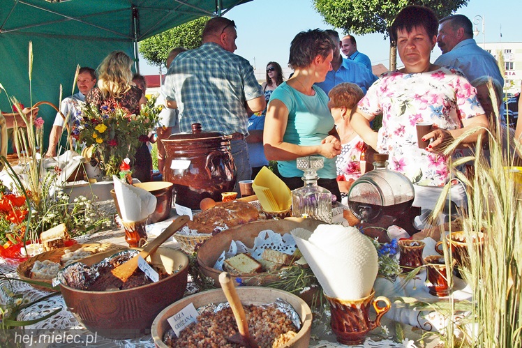 W Radomyślu Wielkim odbył się Piknik Zbożowy, była degustacja lokalnych wyrobów [FOTO]