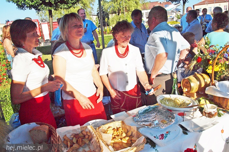 W Radomyślu Wielkim odbył się Piknik Zbożowy, była degustacja lokalnych wyrobów [FOTO]