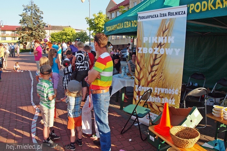 W Radomyślu Wielkim odbył się Piknik Zbożowy, była degustacja lokalnych wyrobów [FOTO]