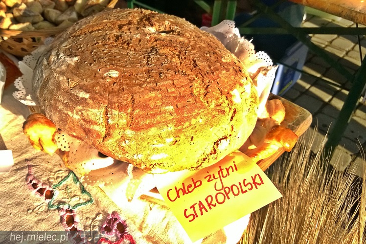 W Radomyślu Wielkim odbył się Piknik Zbożowy, była degustacja lokalnych wyrobów [FOTO]