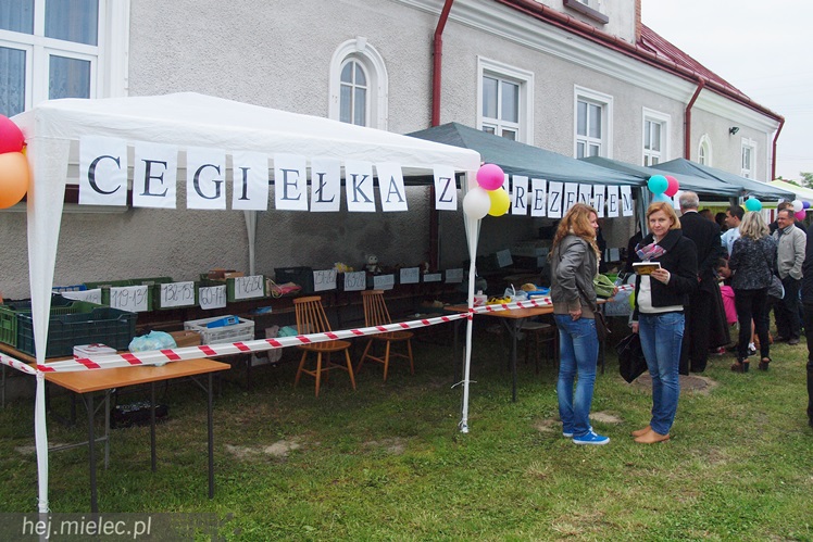 Mieszkańcy Rzochowa spotkali się na tradycyjnym pikniku. To akcja charytatywna