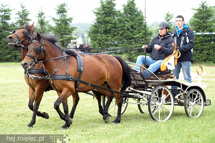 VI Wystawa i Parada Konna w Żarówce