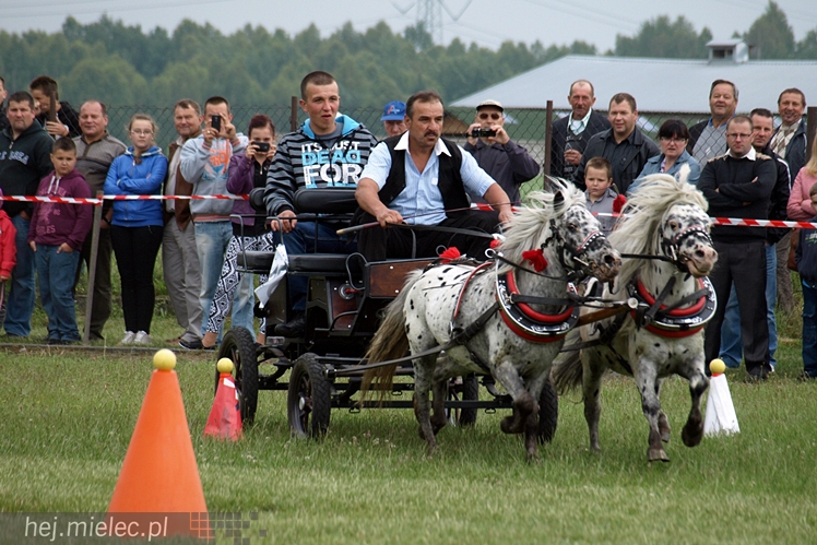 VI Wystawa i Parada Konna w Żarówce