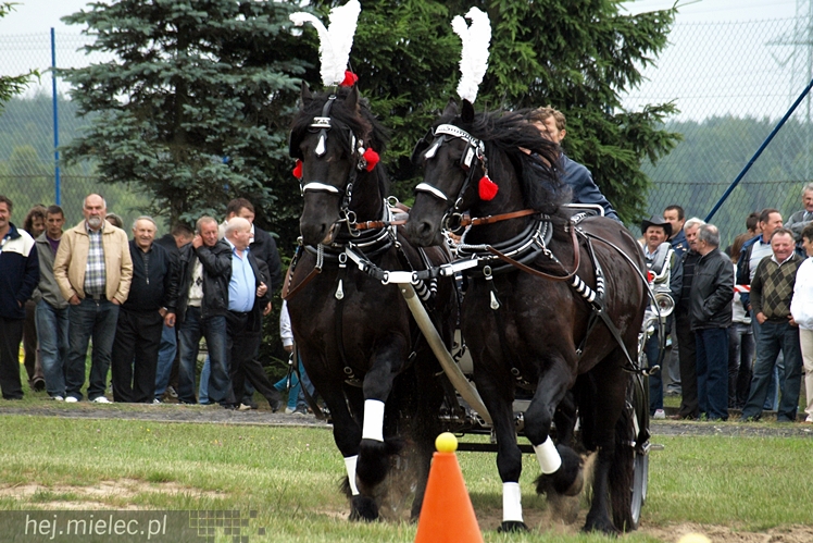 VI Wystawa i Parada Konna w Żarówce