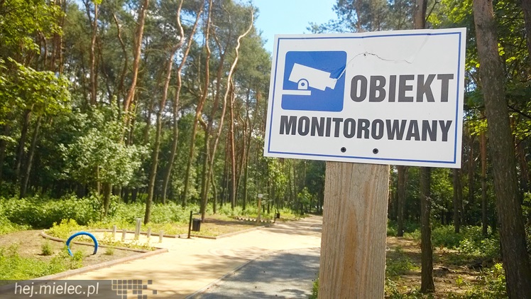 Pierwszy etap przebudowy lasku przy Baczyńskiego niemal gotowy [FOTO]