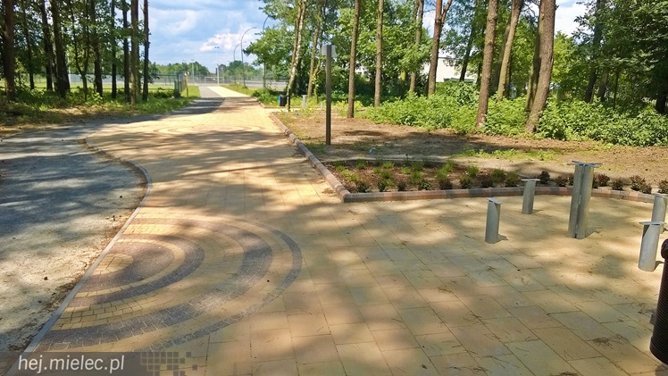 Pierwszy etap przebudowy lasku przy Baczyńskiego niemal gotowy [FOTO]