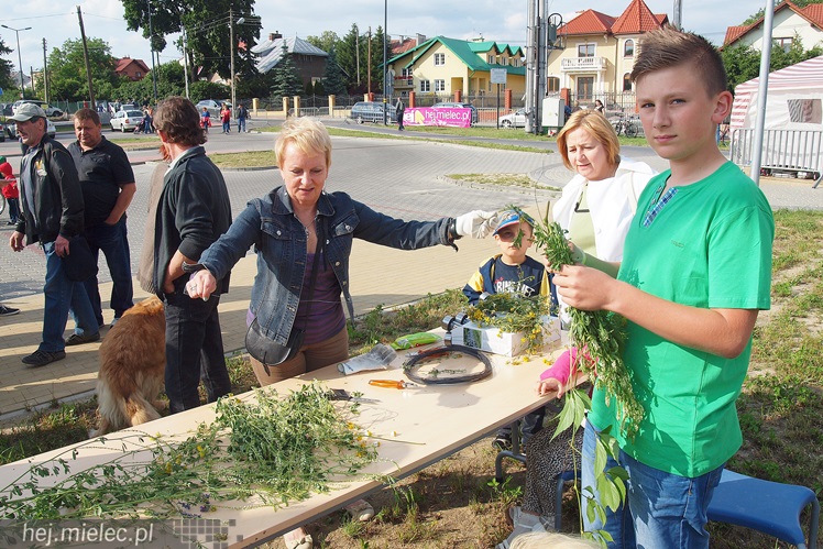 Znów mielczanki wrzucały do Wisłoki wianki. SCK przywróciło dawne zwyczaje