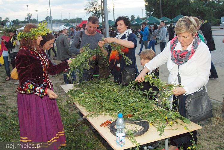Znów mielczanki wrzucały do Wisłoki wianki. SCK przywróciło dawne zwyczaje