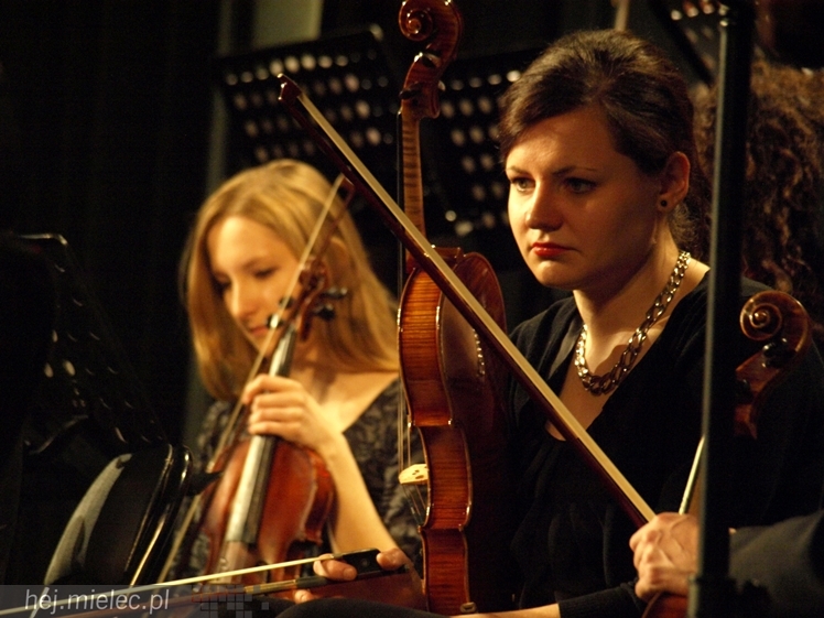 Koncert 