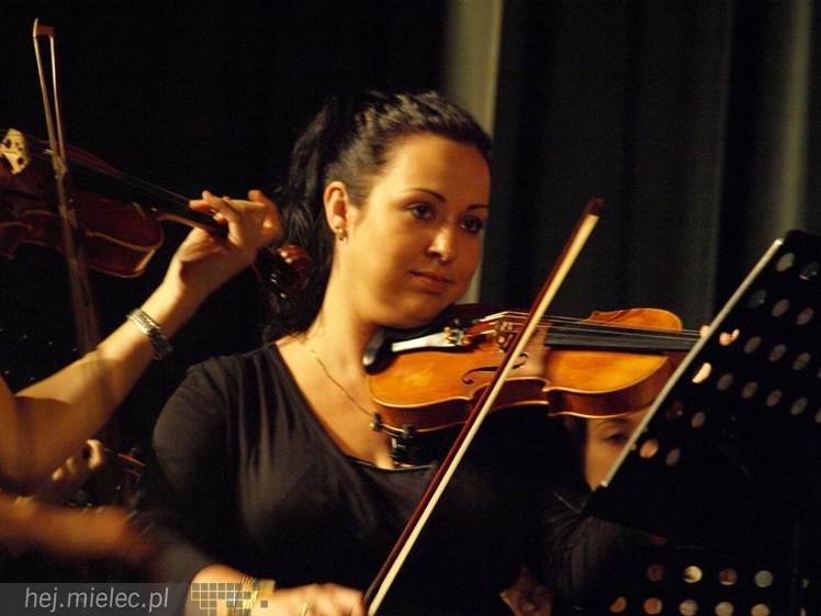 Koncert 