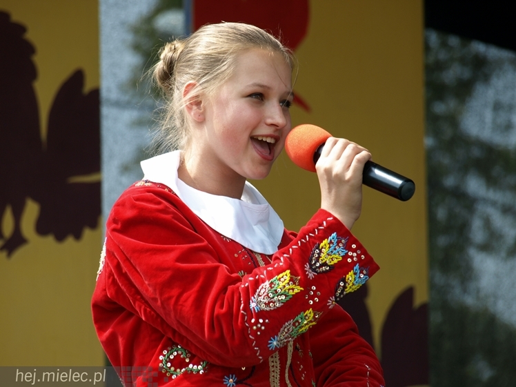 VII Podkarpacki Jarmark Ludowy 