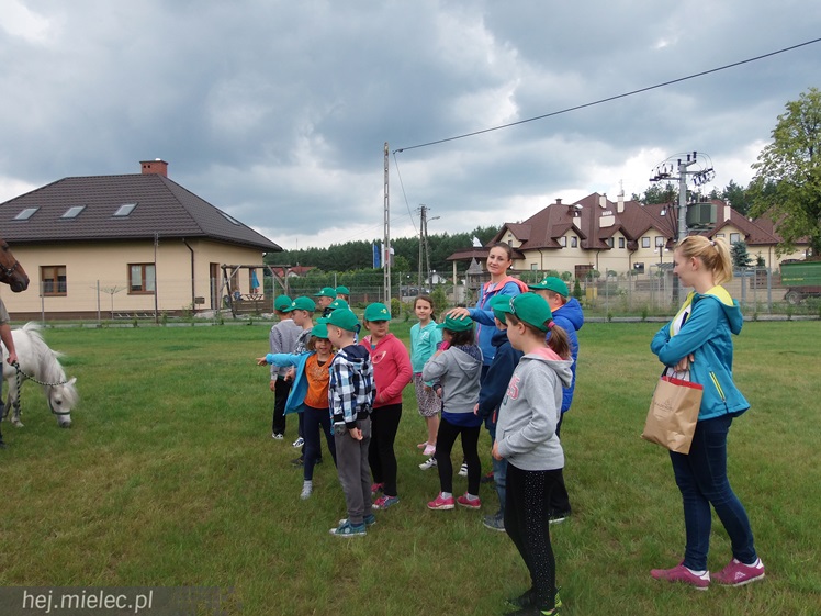 Jak przebiegają półkolonie w KoloRado? Zobacz na zdjęciach!