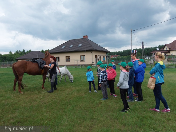 Jak przebiegają półkolonie w KoloRado? Zobacz na zdjęciach!