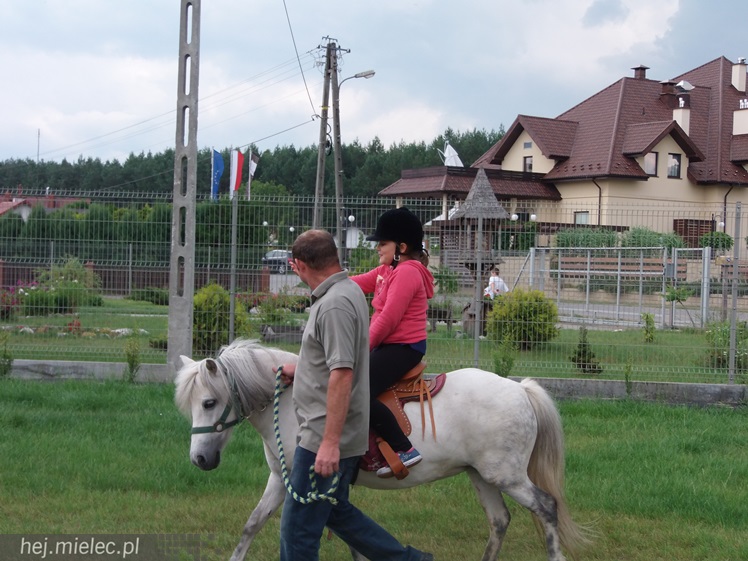 Jak przebiegają półkolonie w KoloRado? Zobacz na zdjęciach!