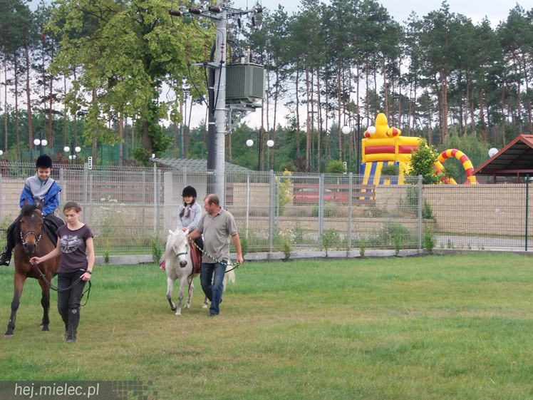 Jak przebiegają półkolonie w KoloRado? Zobacz na zdjęciach!