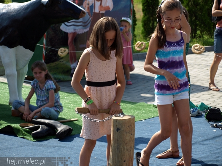Targi Piwa RADOfest
