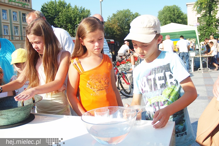 Piknik Rodzinny ?Grunt to rodzinka? CZĘŚĆ 2 - przegląd piknikowych atrakcji