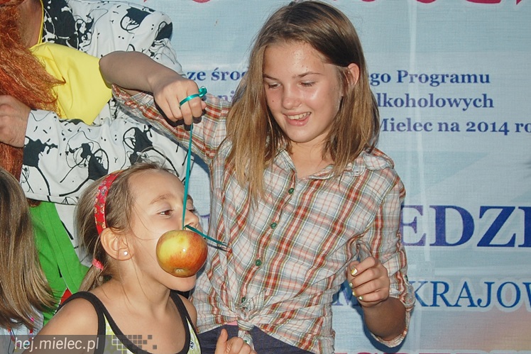 Piknik Rodzinny ?Grunt to rodzinka? CZĘŚĆ 2 - przegląd piknikowych atrakcji