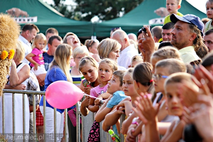 Dożynki Gminy Wadowice Górne i taneczny koncert Don Vasyl Juniora i Cygańskich Gwiazd