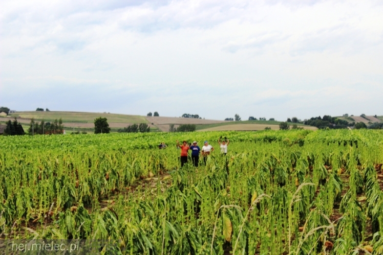 PPT 2014 - dzień II: wędrówka przez ponad 30 km
