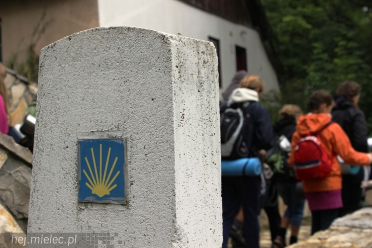PPT 2014 - dzień IV: ok. 25 km marszu i modlitwa za Ojczyznę. Pogoda sprzyja