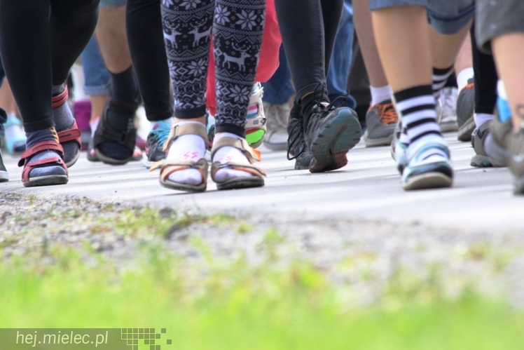 PPT 2014 - dzień IV: ok. 25 km marszu i modlitwa za Ojczyznę. Pogoda sprzyja