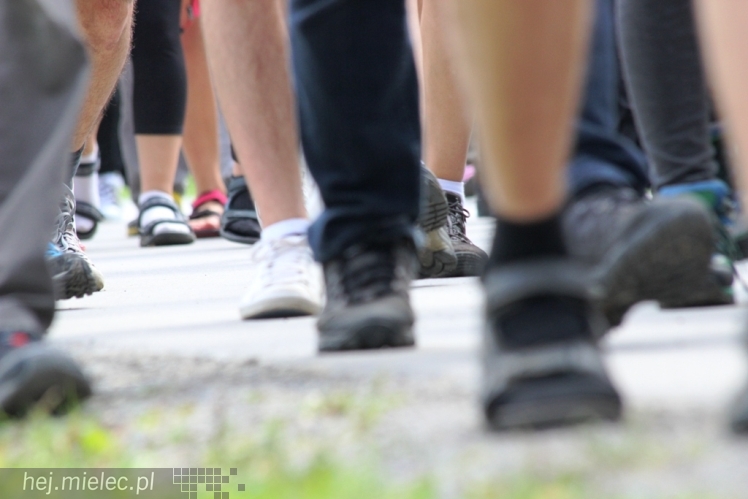 PPT 2014 - dzień IV: ok. 25 km marszu i modlitwa za Ojczyznę. Pogoda sprzyja