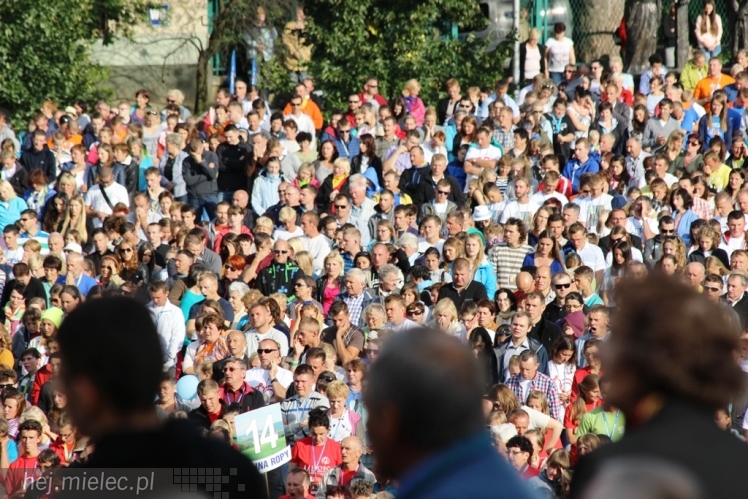 PPT 2014 - dzień IX - cz. IV