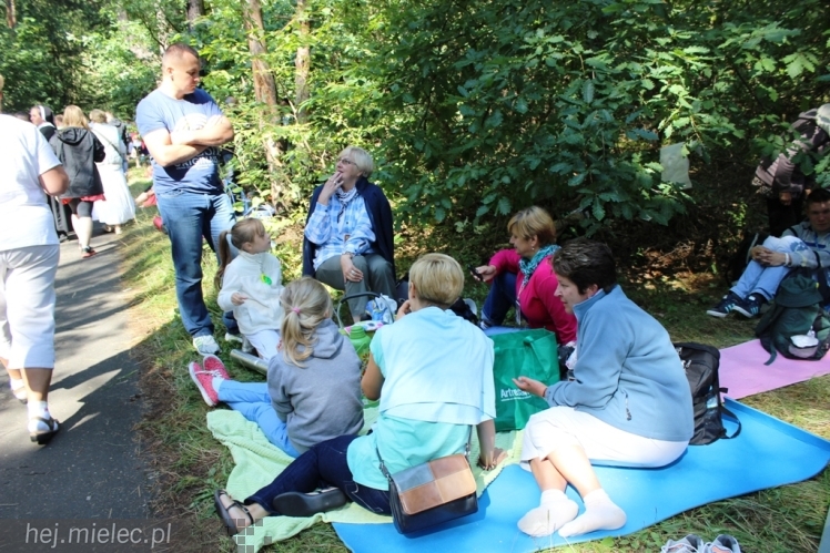 PPT 2014 - dzień IX - cz. II