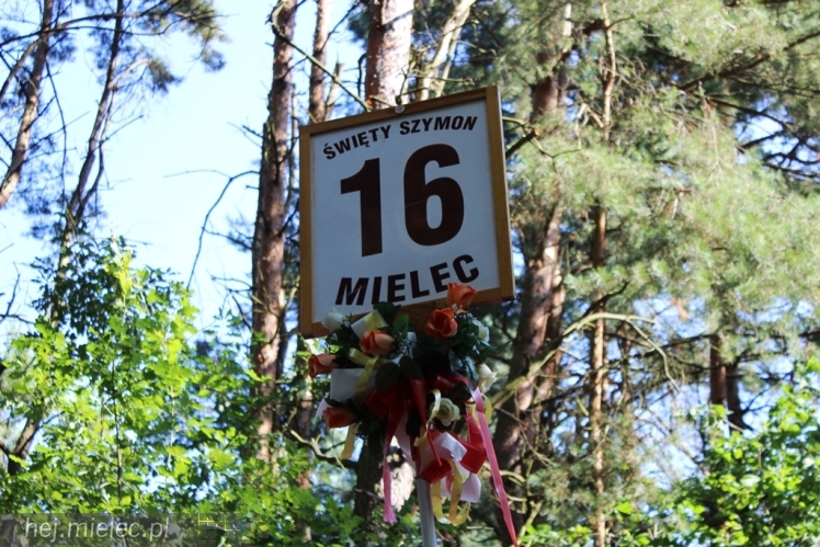PPT 2014 - dzień IX - cz. I