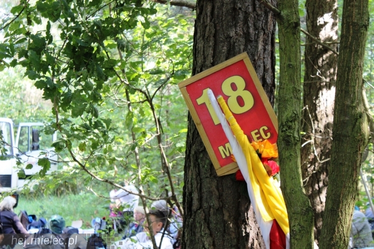 PPT 2014 - dzień IX - cz. I